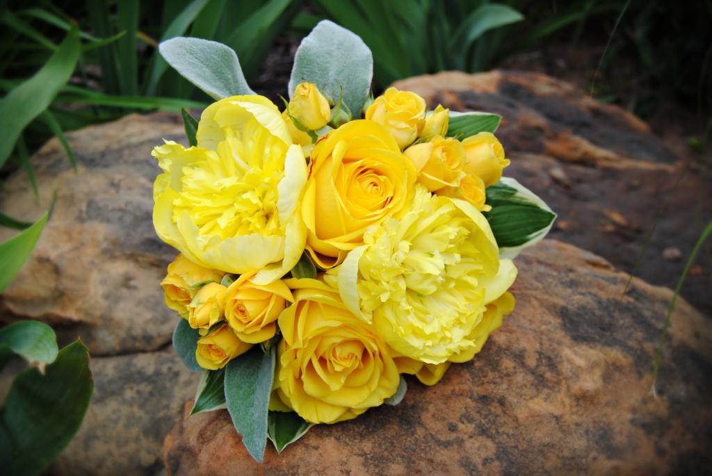 一束黄色的牡丹黄玫瑰躺在一块岩石上