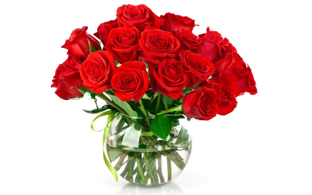 美丽的红玫瑰花束在白色背景上的玻璃花瓶