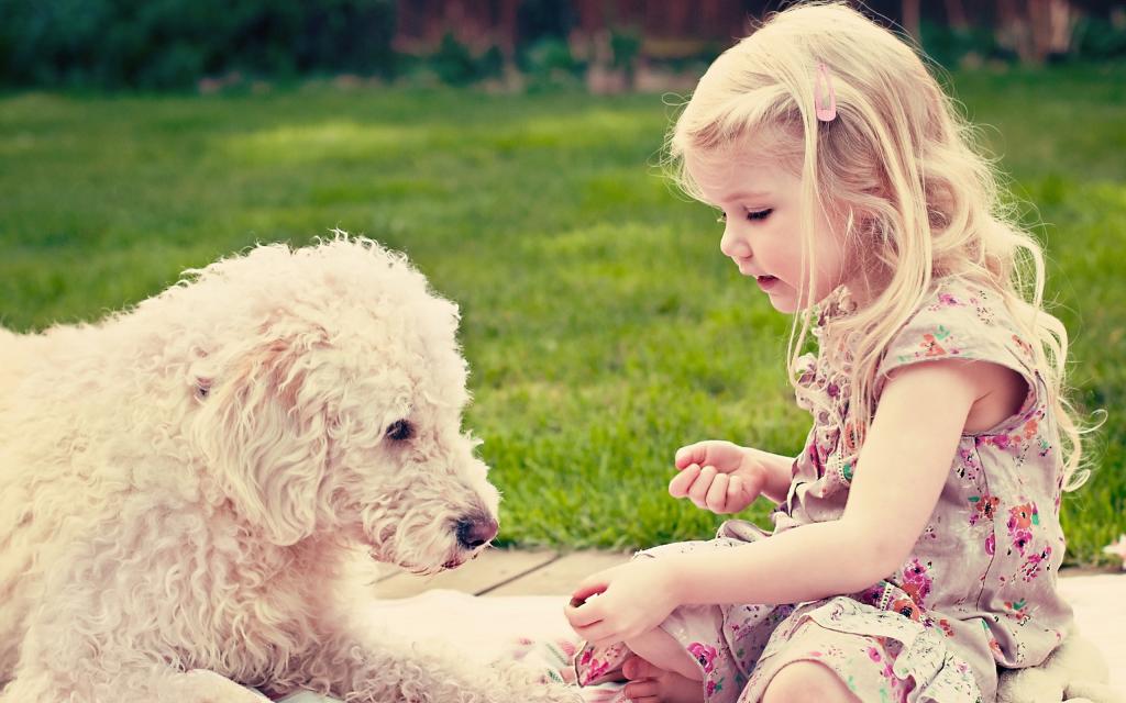 女孩和狗一起玩