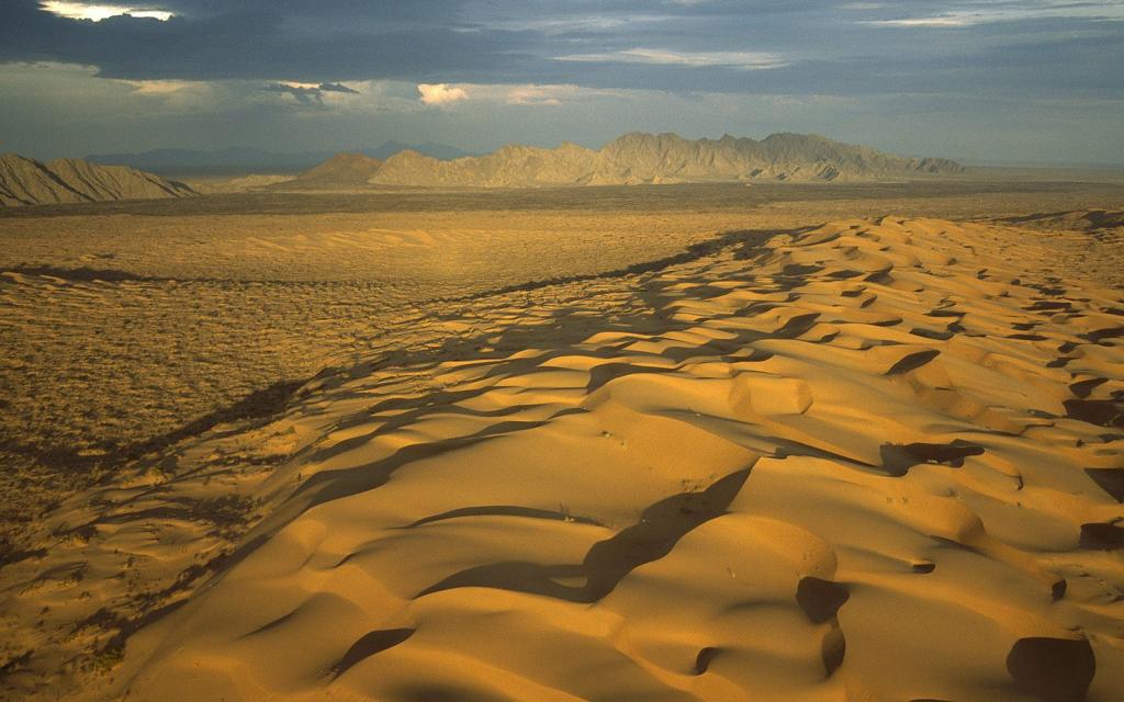 墨西哥沙漠