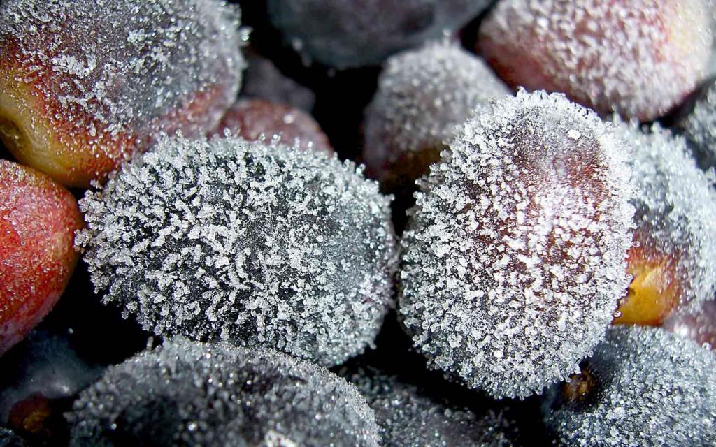 冷冻的葡萄