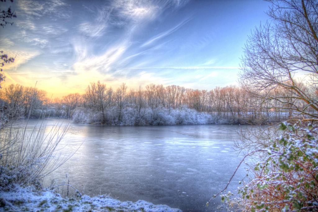 在美丽的冬天天空下的森林里的冰冻的河