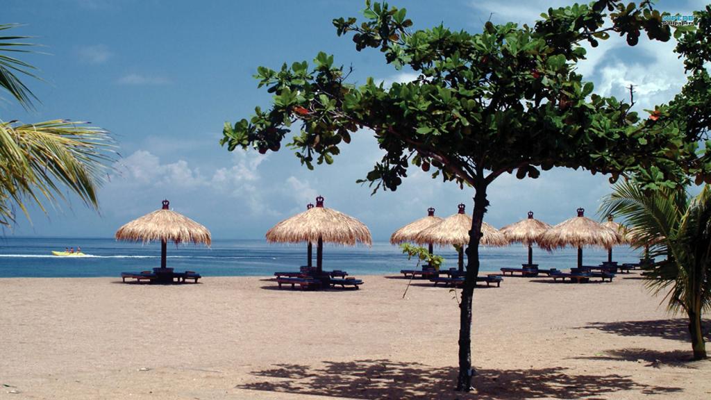 在巴厘岛的沙滩伞