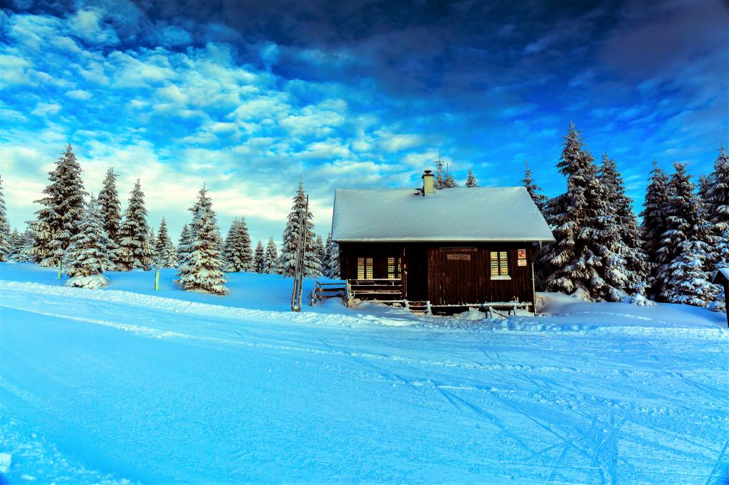 在由美丽的冬天的天空下的积雪的路在森林里的房子