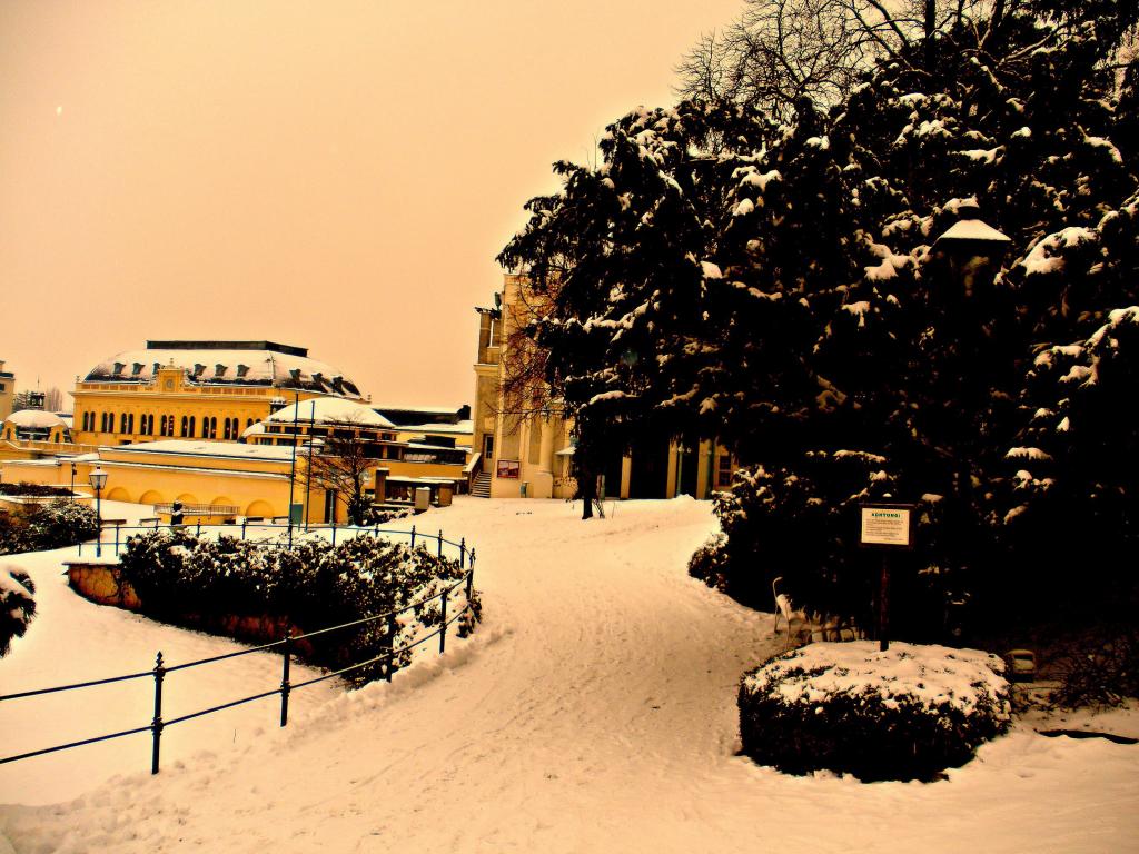 在巴登，奥地利度假胜地的冬季景观