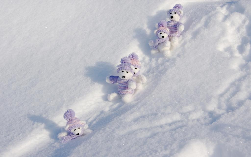 熊在雪地里