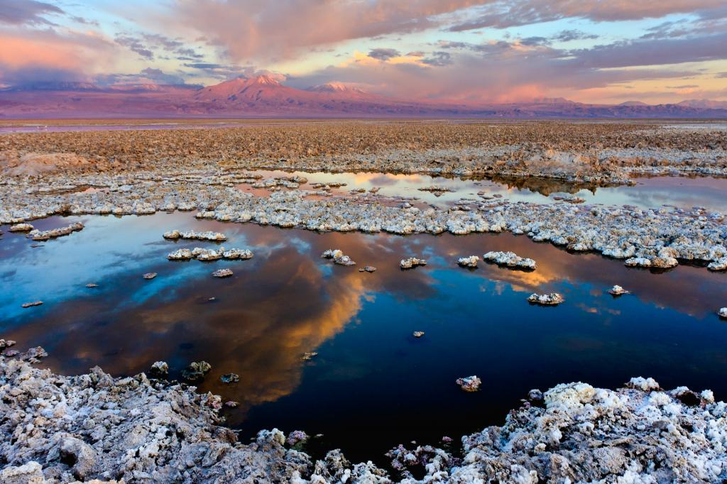 在智利阿塔卡马沙漠美丽的盐水盐沼阿塔卡马沙漠