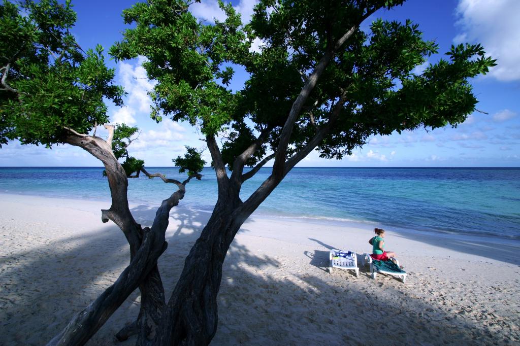 古巴Guardalavaca手段海滩上的树