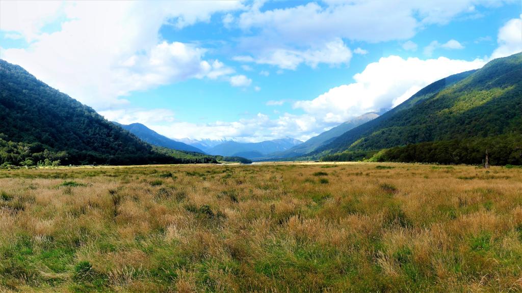 新西兰的绿色自然空间