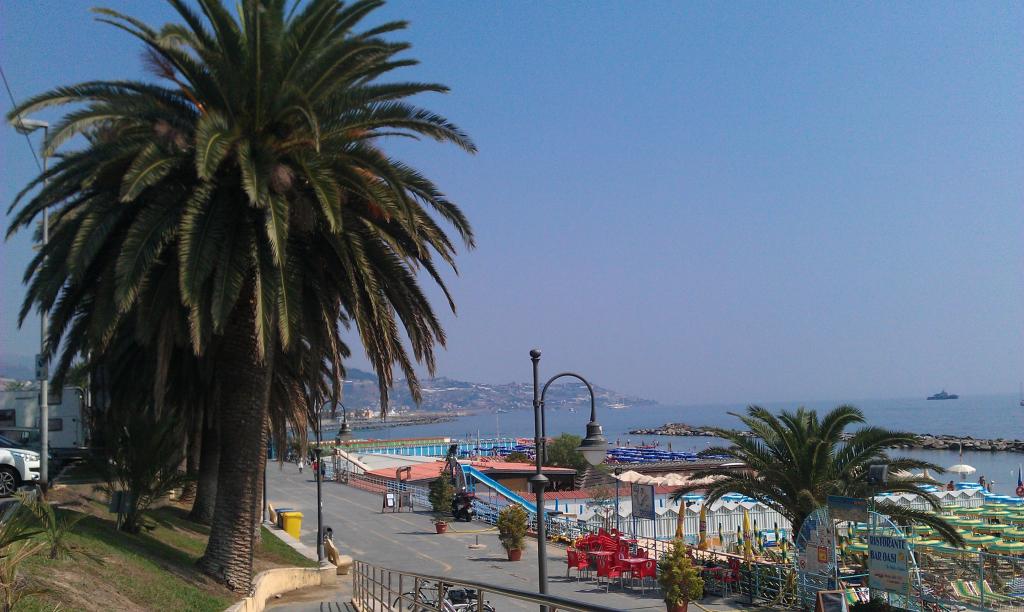 在圣雷莫，意大利海滩上的棕榈树