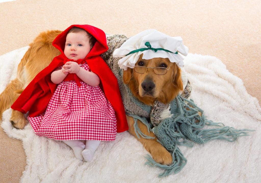 一顶红色的帽子服装与一条大狗的小女孩
