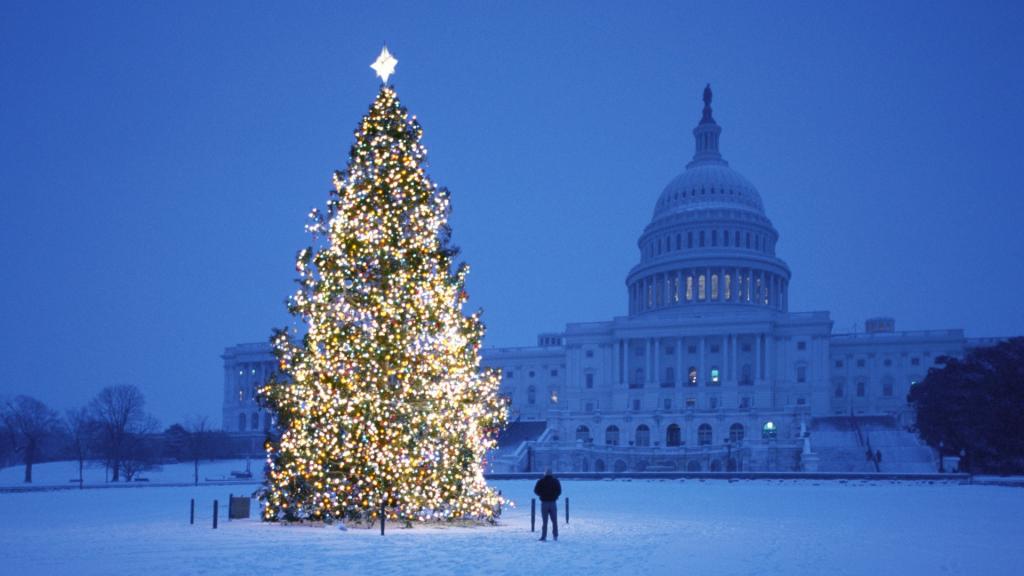 在白宫的新年树