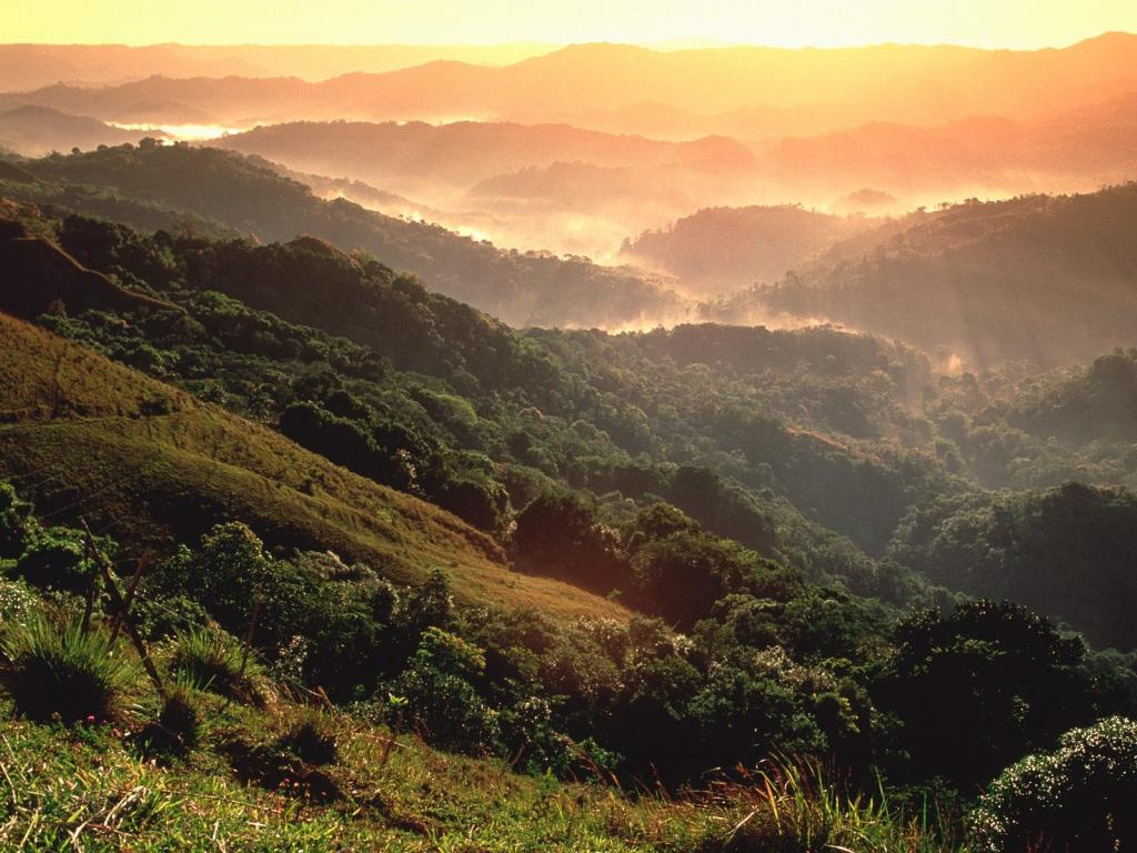 El Yunque雨林