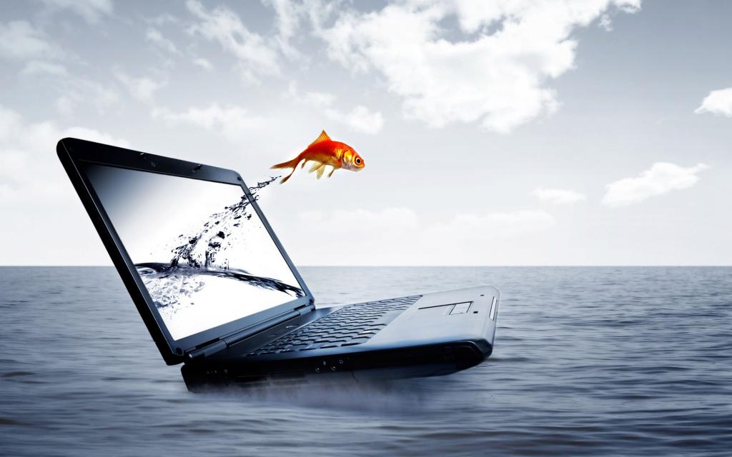 笔记本电脑和小鱼