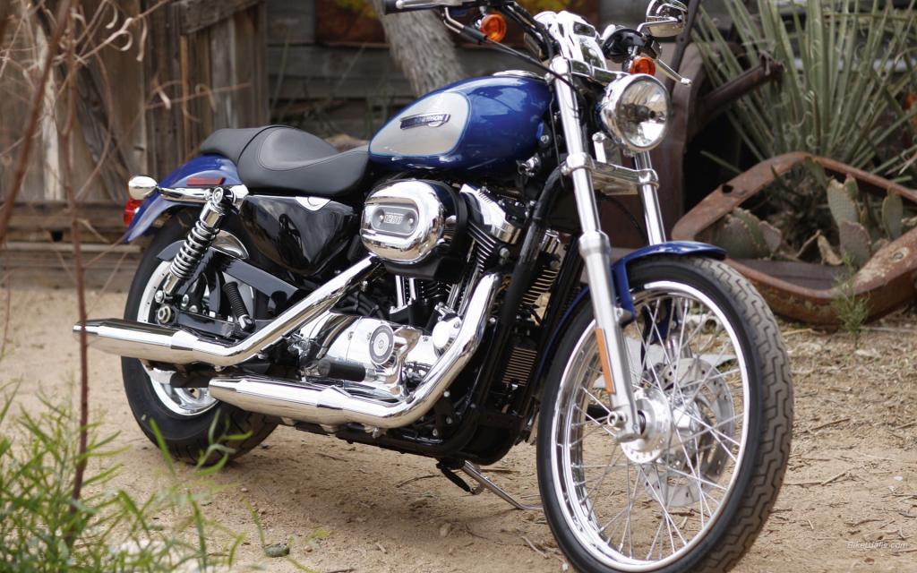 新的可靠的摩托车哈雷戴维森XL 1200C Sportster定制