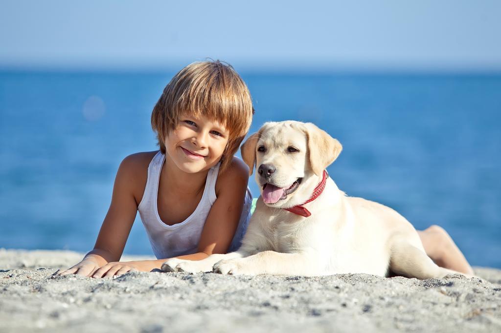 可爱的小男孩躺在沙滩上的猎犬小狗