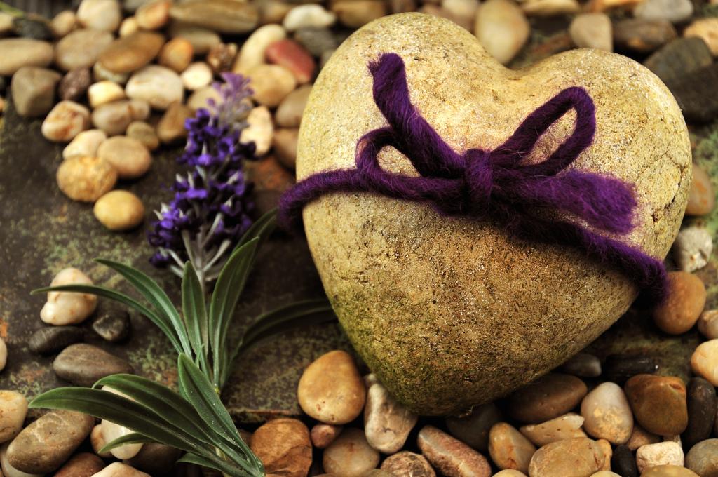 石头的心与弓和一朵花的形状