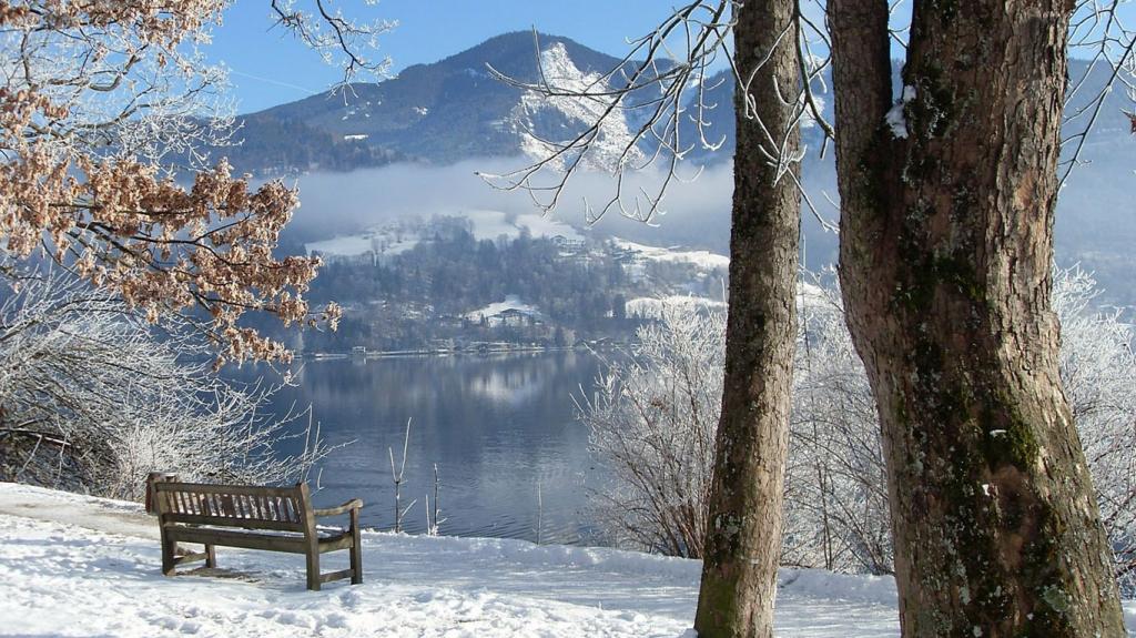 在冬天山上的湖上长椅