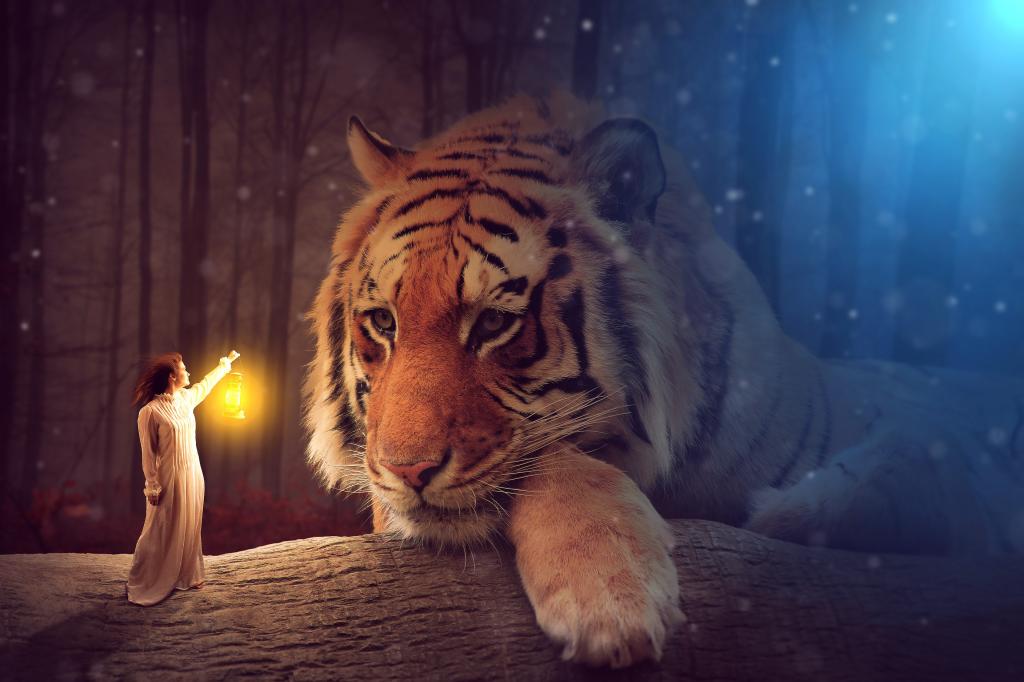 一个灯笼的女孩点燃一只大老虎