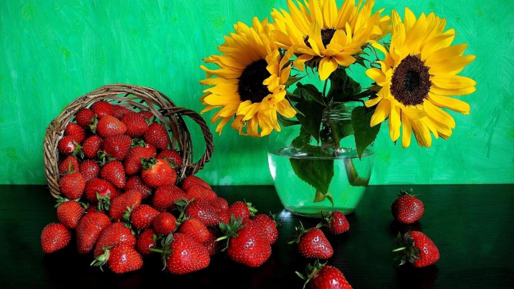 新鲜的草莓花瓶里的黄色向日葵的花朵