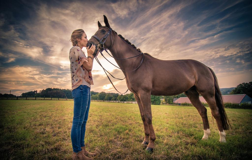 美丽的女孩在美丽的天空下亲吻一匹马