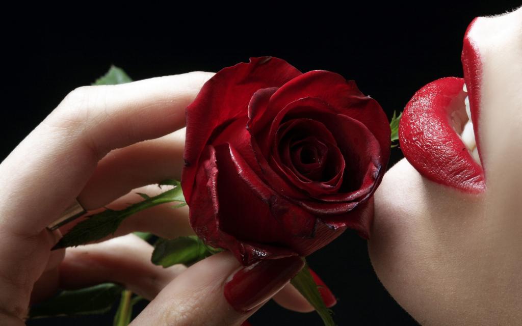 红红的嘴唇附近的红玫瑰