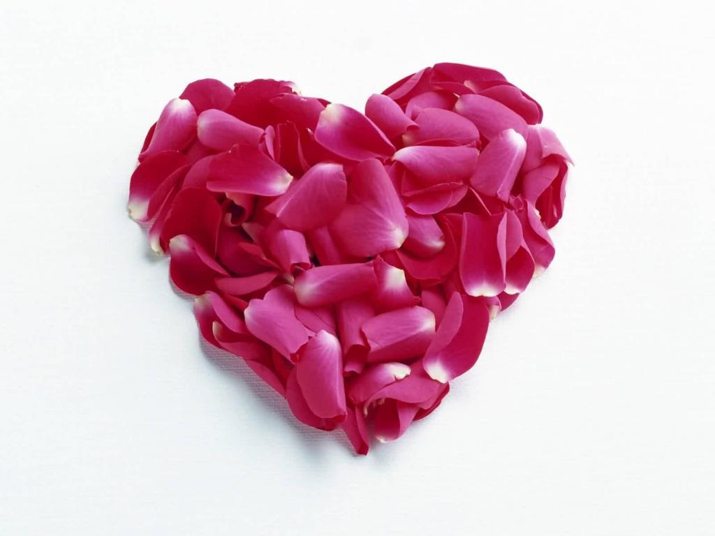 红色的花瓣在情人节2月14日的心脏