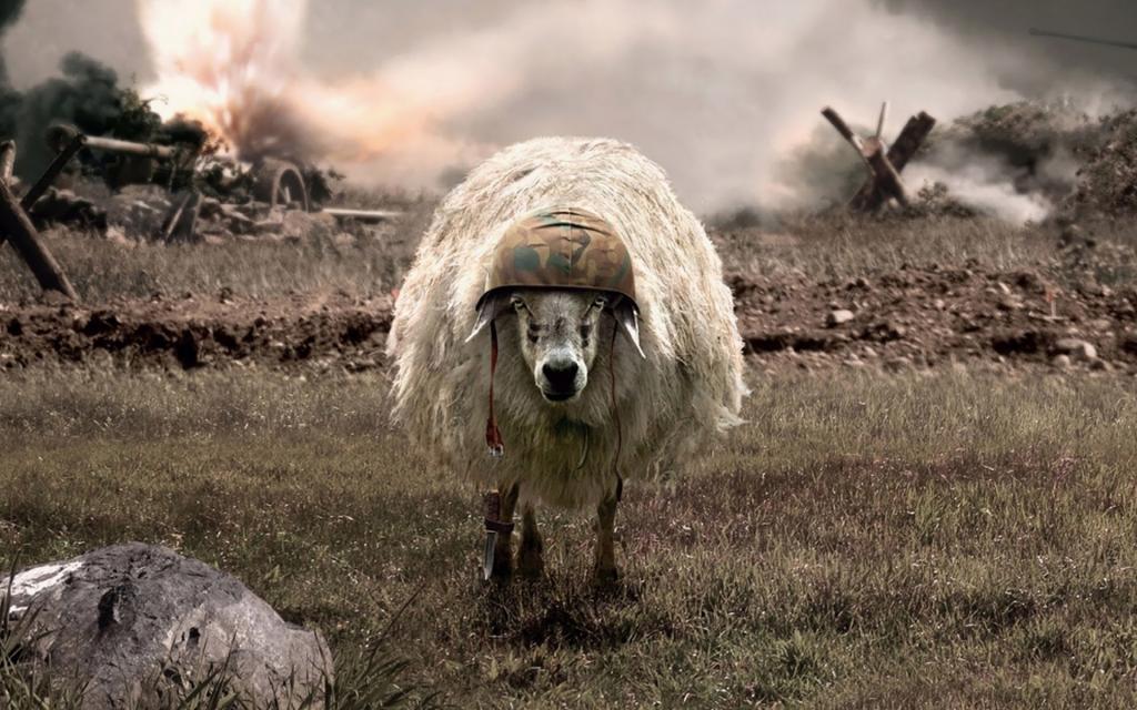 羊在战争中的头盔