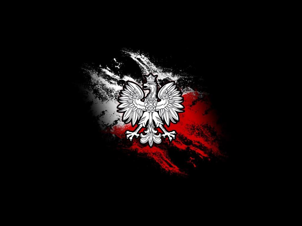 波兰老鹰旗的背景上