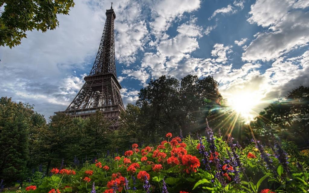 塔和花在巴黎