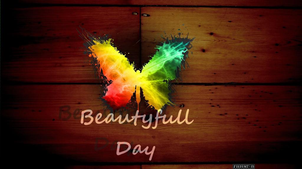 彩虹蝴蝶，美丽的一天