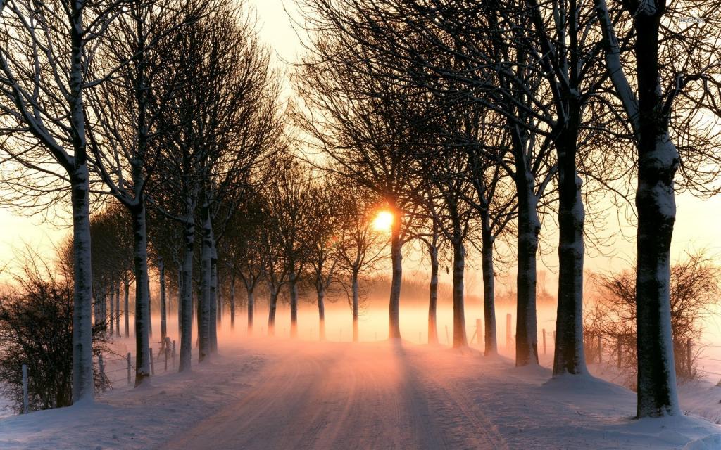 在日落的冬天路