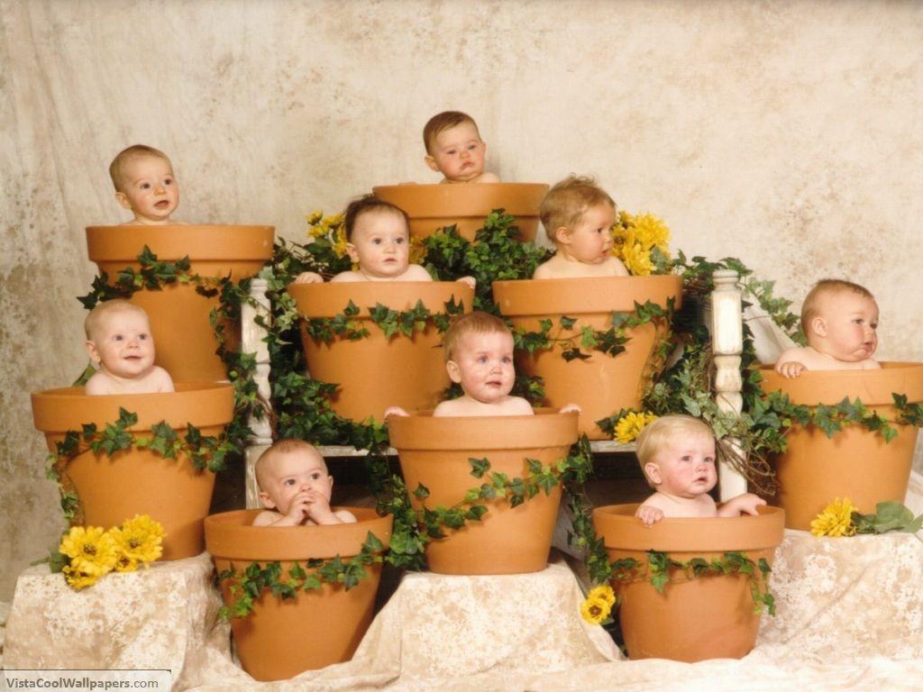 孩子们在盆里种植