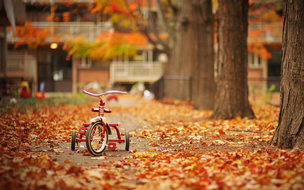 三轮车在秋天的公园