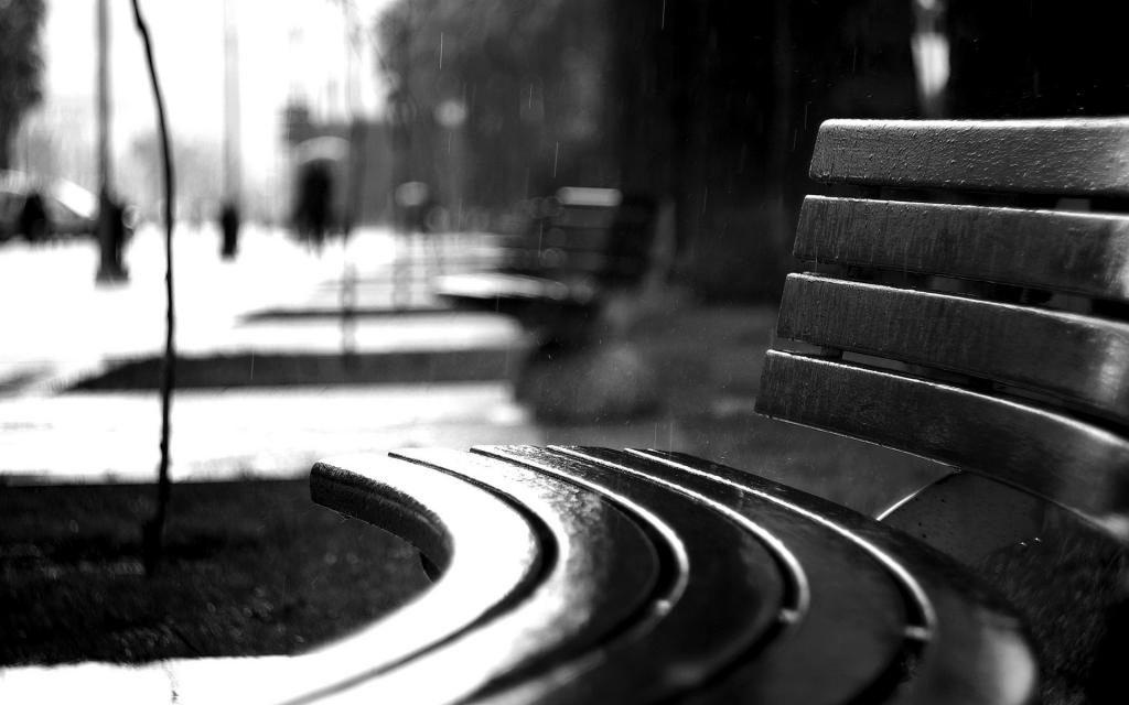 弯曲的长凳在雨中