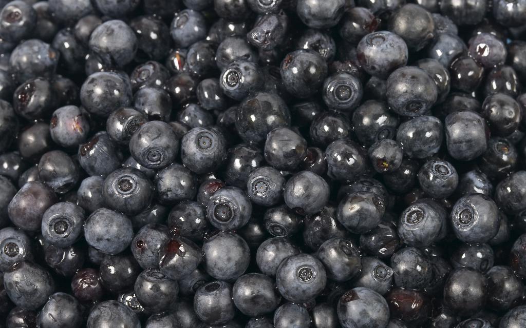 蓝莓，森林浆果