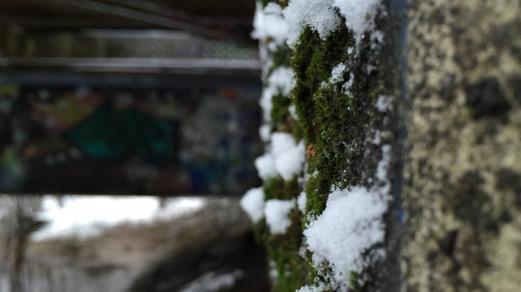 雪在长满苔藓的墙上