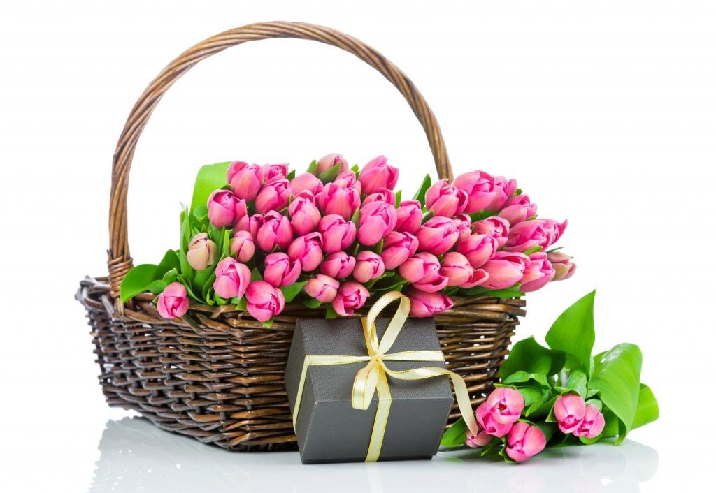 在一个篮子里的粉红色郁金香花束与在白色背景上的一件礼物
