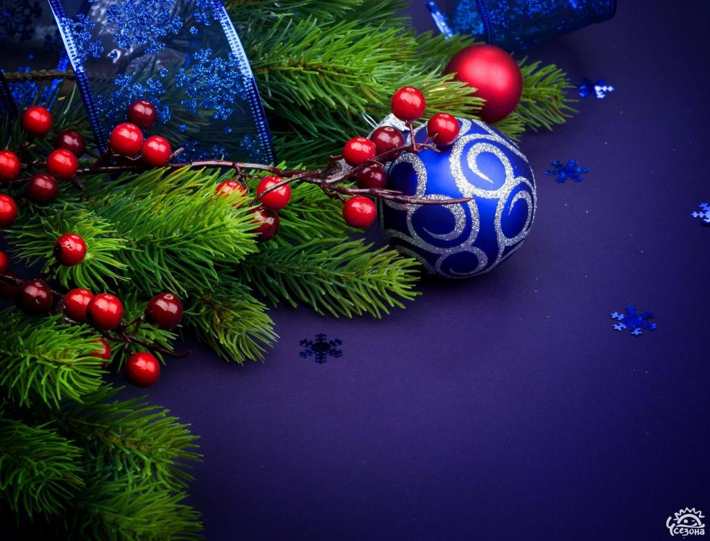 圣诞树枝和一个蓝色的玩具