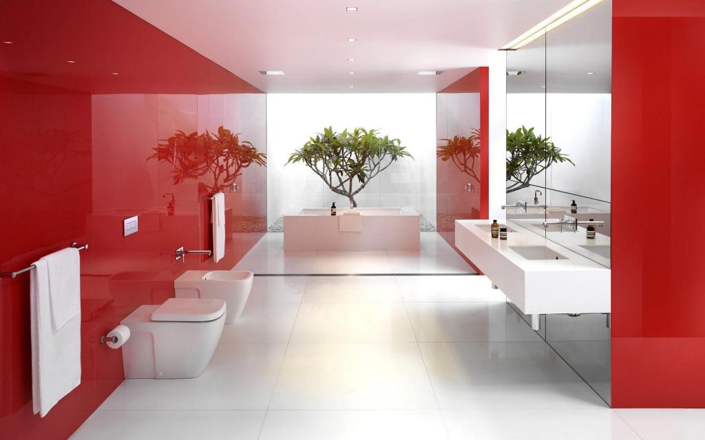 红色的浴室装修