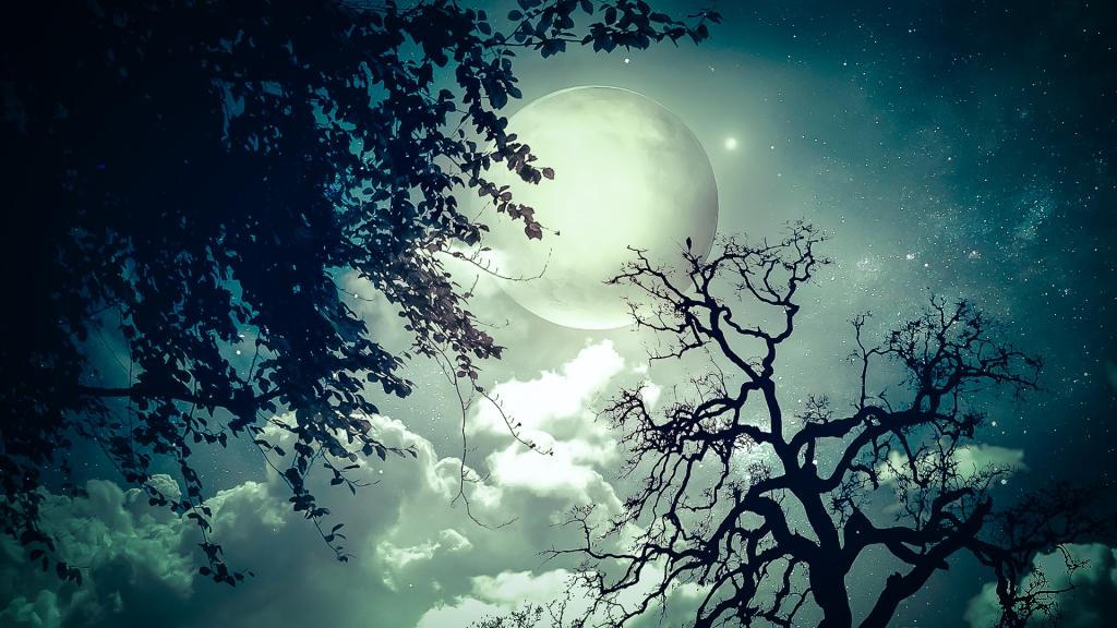 天空，树木，月亮，星星