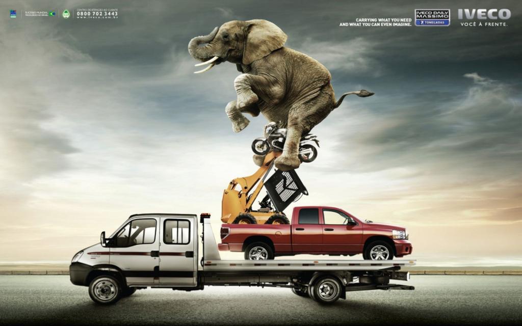 大象乘汽车