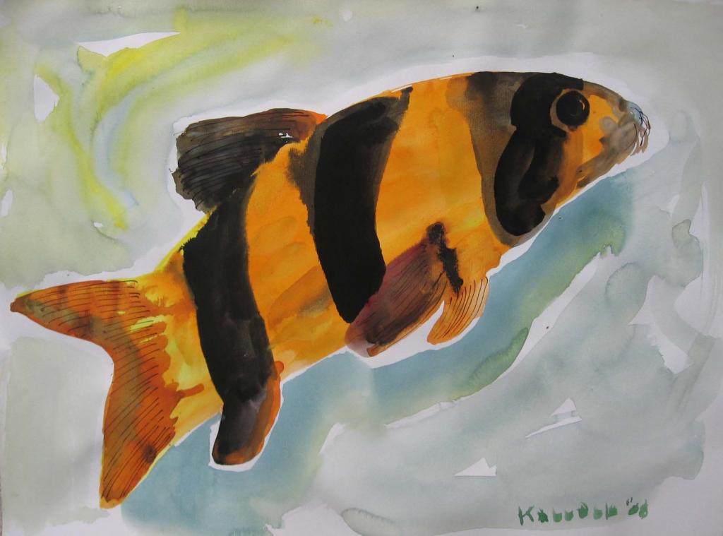 图片马琳杜马 - 五颜六色的鱼