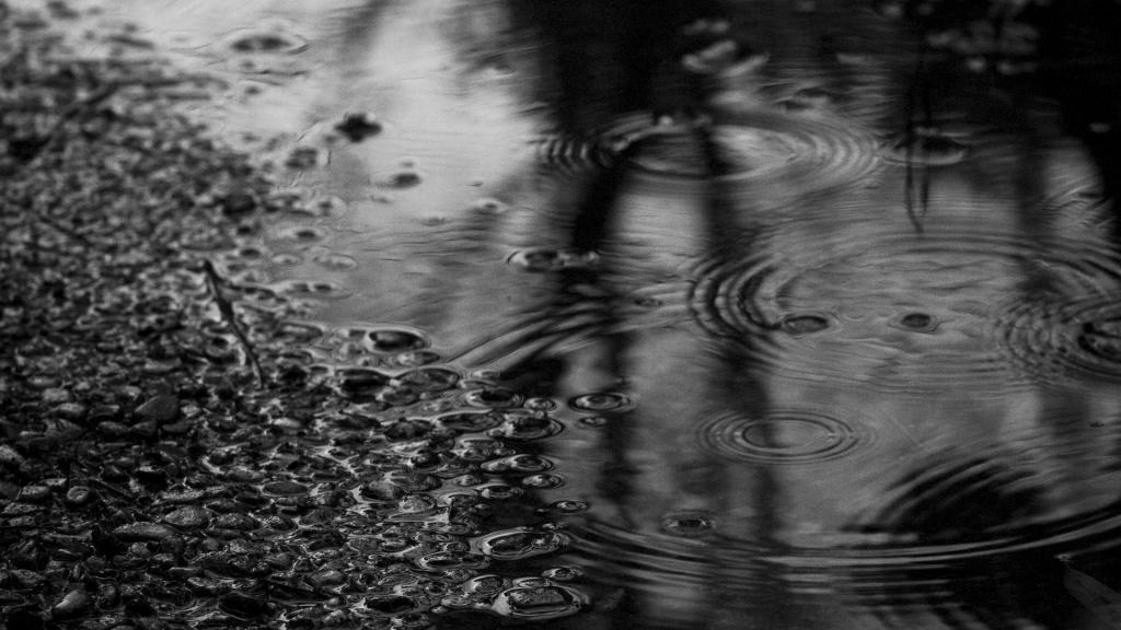 雨后的水坑的黑白照片