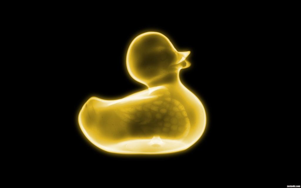 鸭子的X-射线