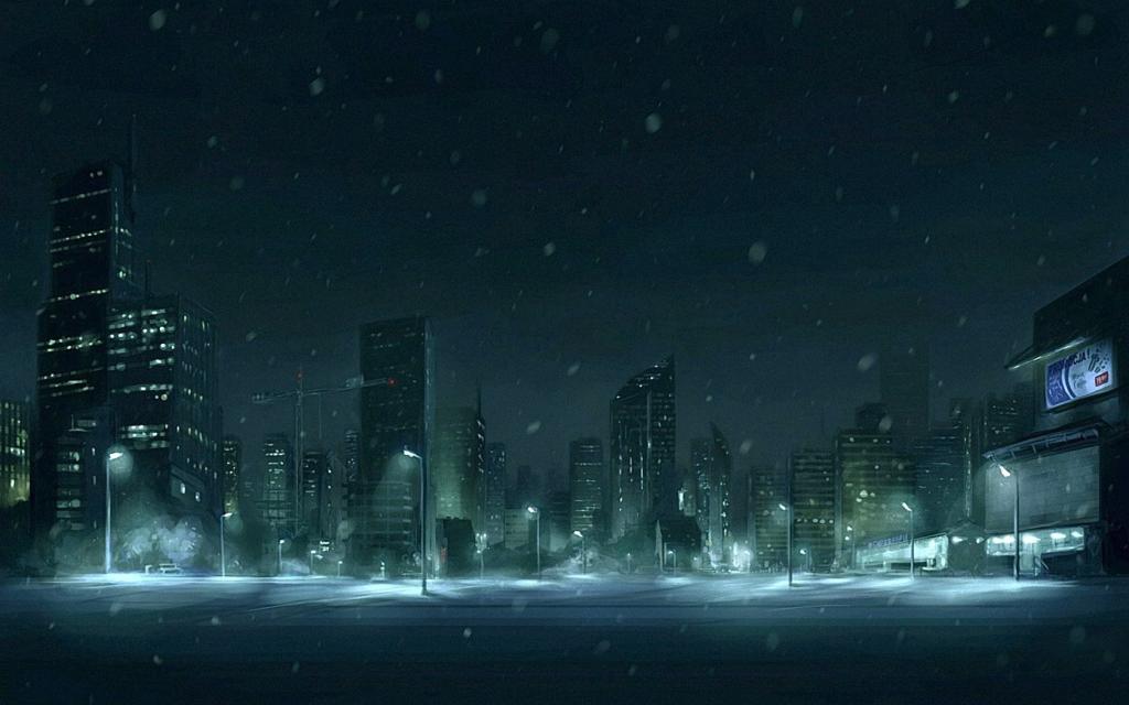在夜晚的城市雪