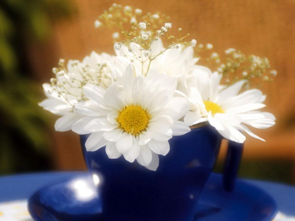 白色发光的鲜花