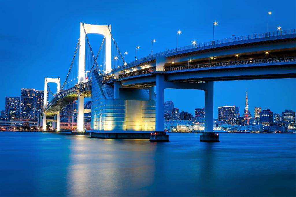 大桥在晚上，东京。