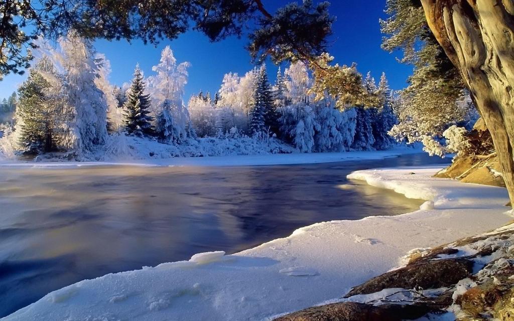 河在冬天的季节