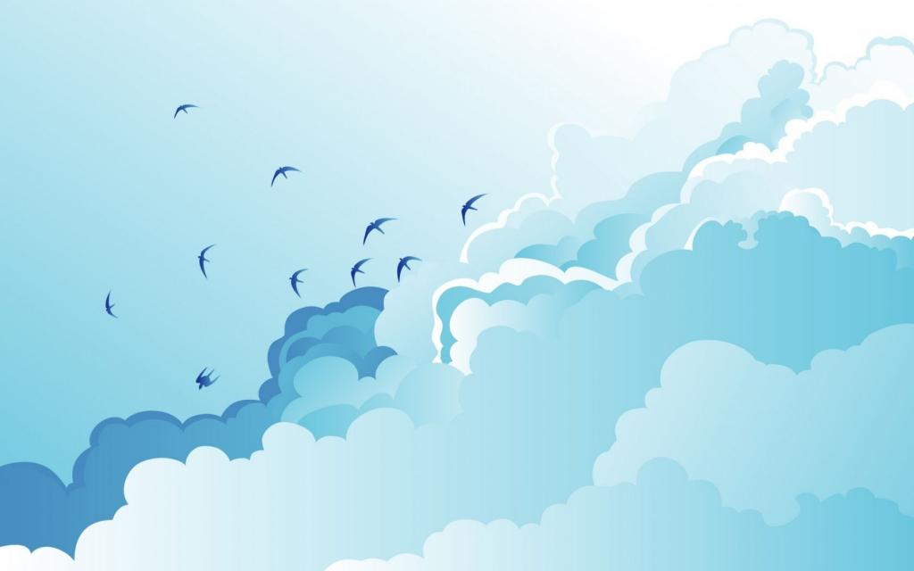 海鸥在云端